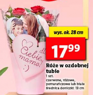 R贸偶e w ozdobnej tubue 13 cm Ryneczek lidla promocja