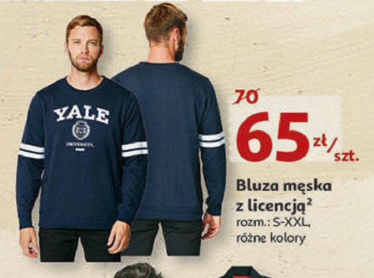 Bluza męska yale s-xxl Auchan inextenso promocja