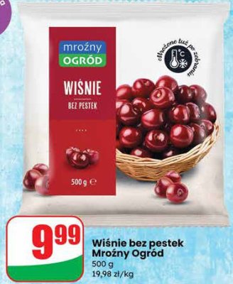 Wi艣nie promocja w Dino