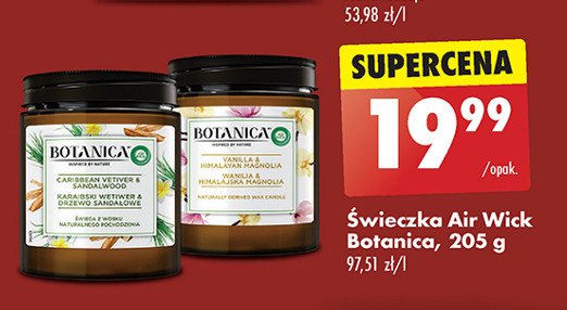 Świeca zapachowa karaibski wetiwer i drzewo sandałowe Air wick botanica promocja