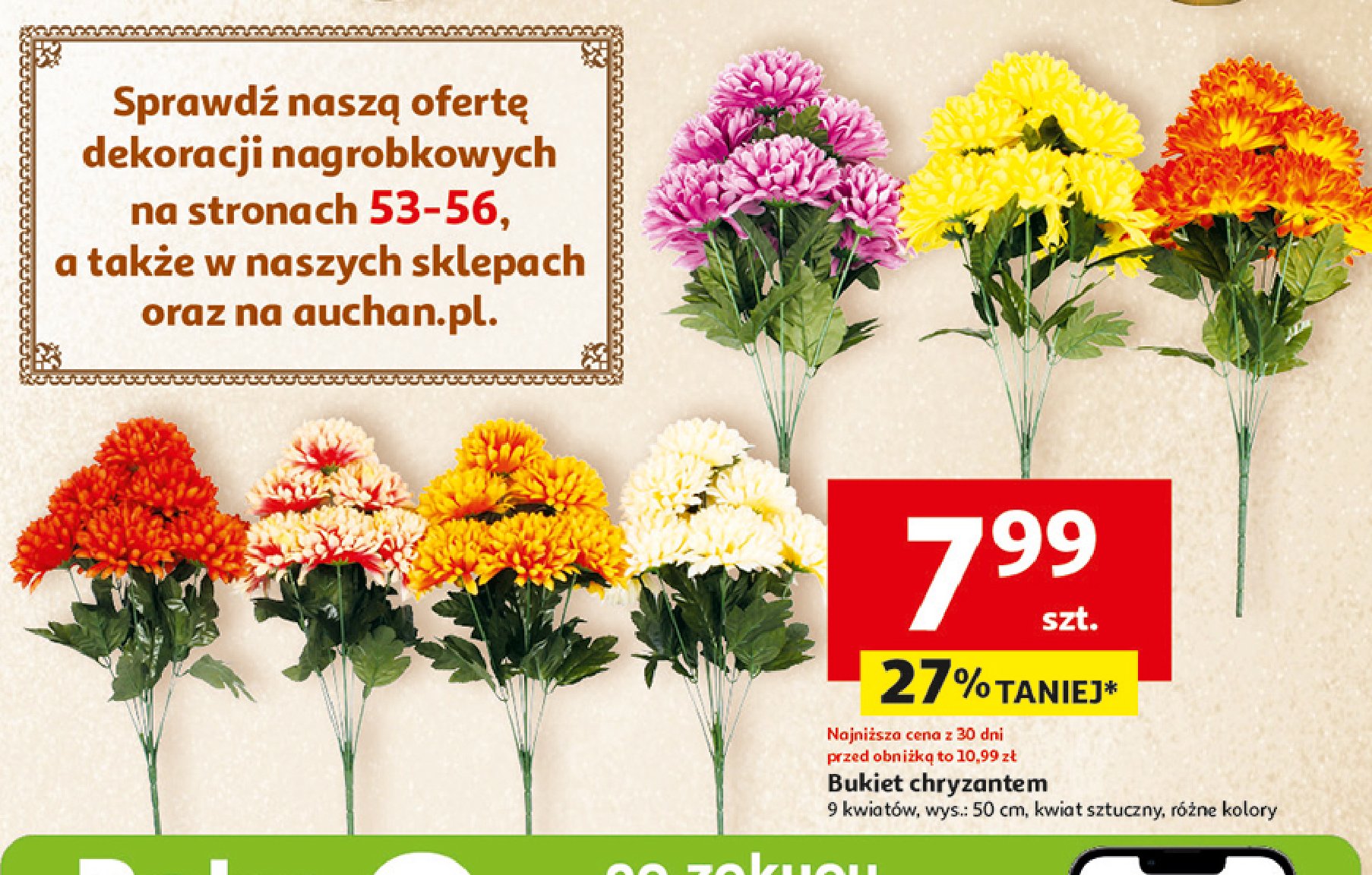 Bukiet chryzantem 50 cm promocja