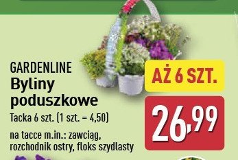 Byliny poduszkowe GARDEN LINE promocja