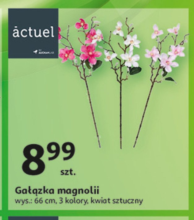 Gałązka magnoli 66 cm Actuel promocja w Auchan