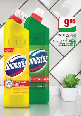 Płyn do mycia WC Thick Bleach Pine Fresh promocja w Dino