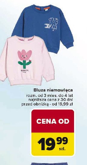 Bluza niemowlęca promocja w Carrefour