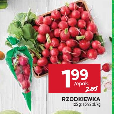 Rzodkiewka promocja