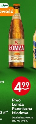 Piwo Łomża Pszeniczna Miodowa promocja w Żabka
