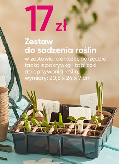 Zestaw do sadzenia roślin promocja