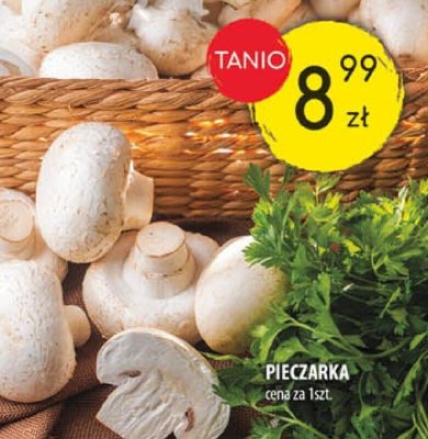 Pieczarka promocja w Arhelan