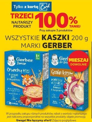 Kaszki 200g wszystkie rodzaje Gerber promocja w Kaufland