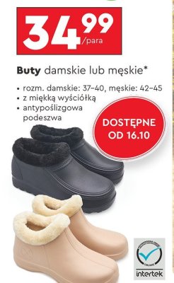 Buty damskie lub męskie Biedronka promocja w Biedronka