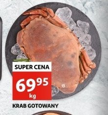 Krab gotowany w pancerzu promocja