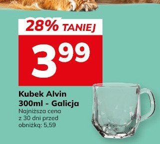Kubek Alvin 300ml - Galicja promocja w Hitpol