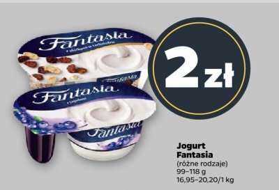 Jogurt Fantasia, różne rodzaje promocja w Netto