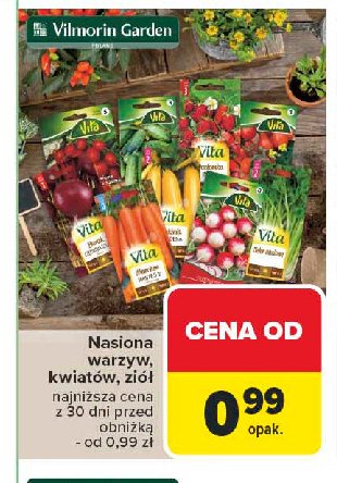 Nasiona rzodiewka Vita line promocja w Carrefour