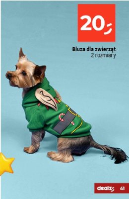 Bluza dla zwierząt promocja w Dealz