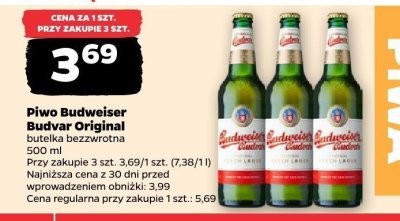 Piwo promocja w Netto