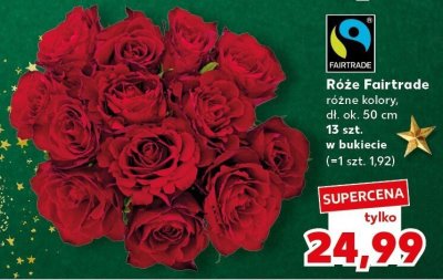 Róże Fairtrade różne kolory promocja w Kaufland