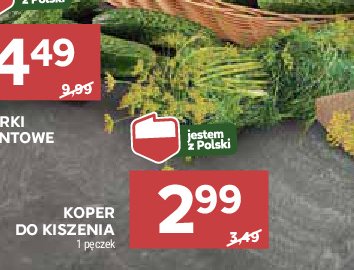 Koper do kiszenia promocja