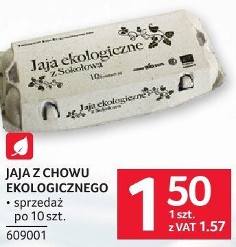 Jaja z chowu ekologicznego po 10 szt. promocja w Selgros
