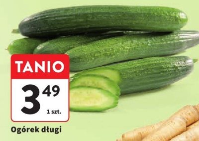 Ogórek długi promocja w Intermarche