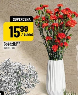 Goździki promocja w POLOmarket