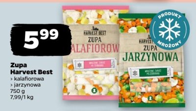Zupa kalafiorowa promocja w Netto