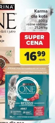 Karma dla kota 800 g, różne rodzaje Purina One promocja w Carrefour