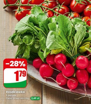 Rzodkiewka biała promocja w Dino