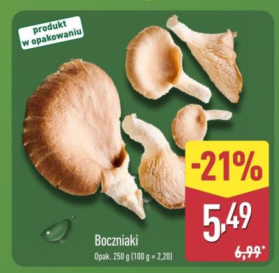 Boczniaki opak. 250 g promocja w Aldi