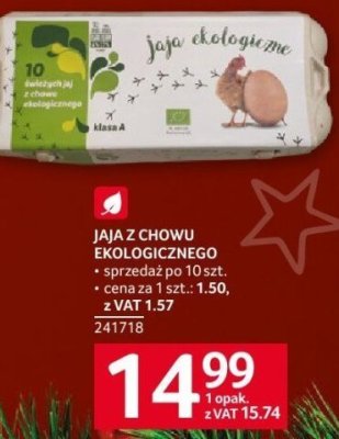 Jaja z chowu ekologicznego 10 szt. promocja w Selgros