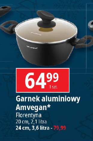 Garnek amvegan 24 cm Florina (florentyna) promocja