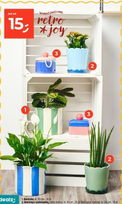 Doniczka z podstawką różne kolory śr. 16 cm promocja w Dealz