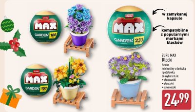 Klocki rośliny różne rodzaje promocja w Aldi