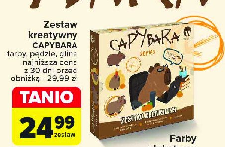 Zestaw kreatywny capybara promocja