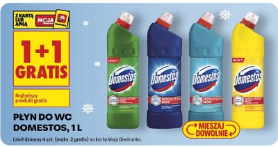 Płyn do WC Domestos, 1 L promocja w Biedronka