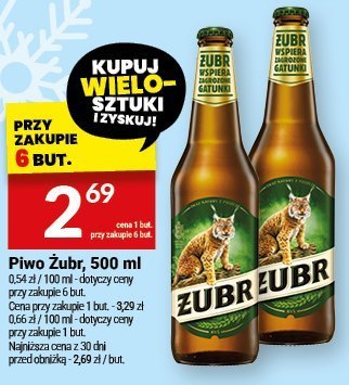 Piwo Żubr, 500 ml promocja w Twój Market