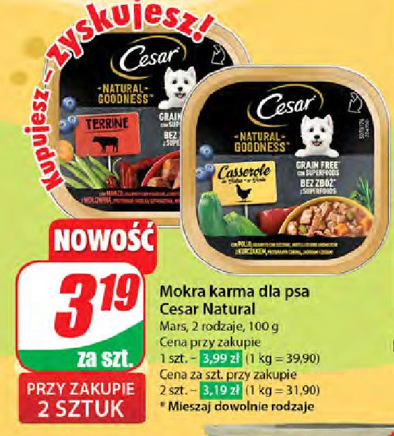 Karma adult wołowina CESAR promocja