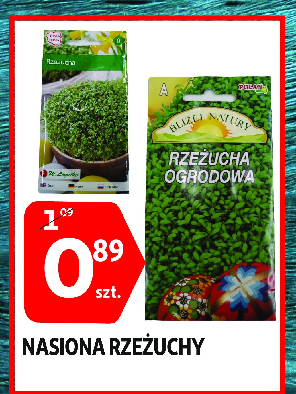 Nasiona rze偶uchy POLAN promocja