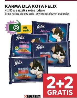 Karma dla kota Felix promocja w Stokrotka