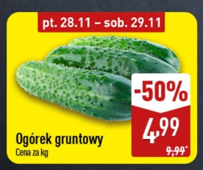 Ogórek gruntowy promocja w Aldi