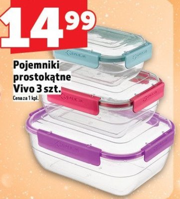 Pojemniki prostokątne Vivo 3 szt. promocja w TOPAZ