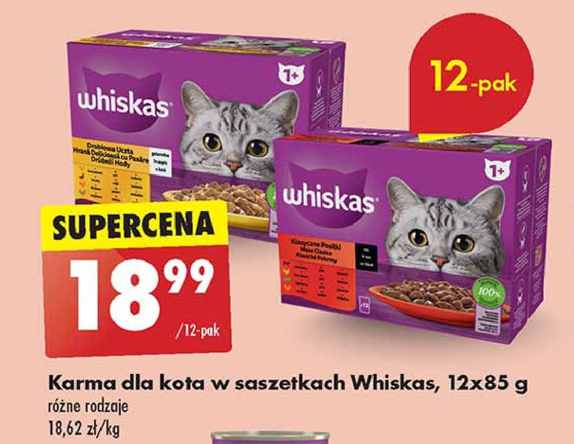 Karma dla kota klasyczne posiłki w sosie Whiskas promocja