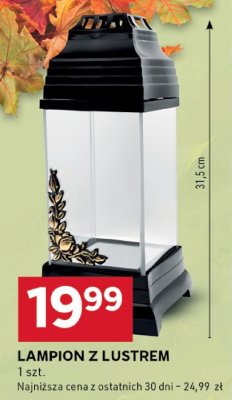 Lampion promocja w Stokrotka