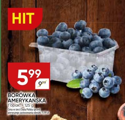 Borówka amerykańska promocja w Chata Polska