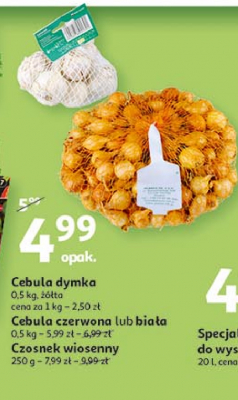 Czosnek wiosenny promocja