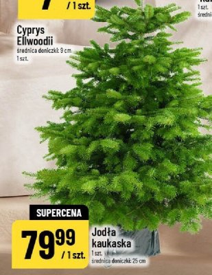 Gazetka, strona 13 promocja w POLOmarket