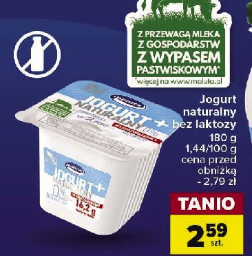 Jogurt naturalny wysokobiałkowy Maluta promocja