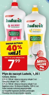 Płyn do naczyń Ludwik 1,35 l Cytryna, Malina promocja w Twój Market