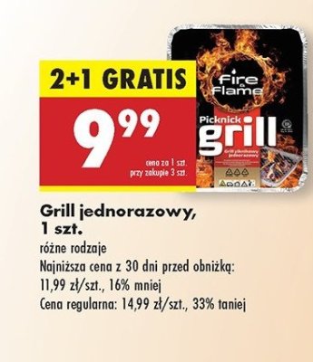 Grill piknikowy jednorazowy Fire & flame promocja